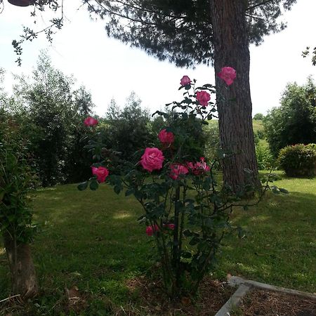 La Finestra Sul Cortile Bed & Breakfast Pomezia Eksteriør bilde