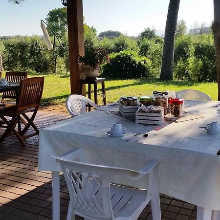 La Finestra Sul Cortile Bed & Breakfast Pomezia Eksteriør bilde