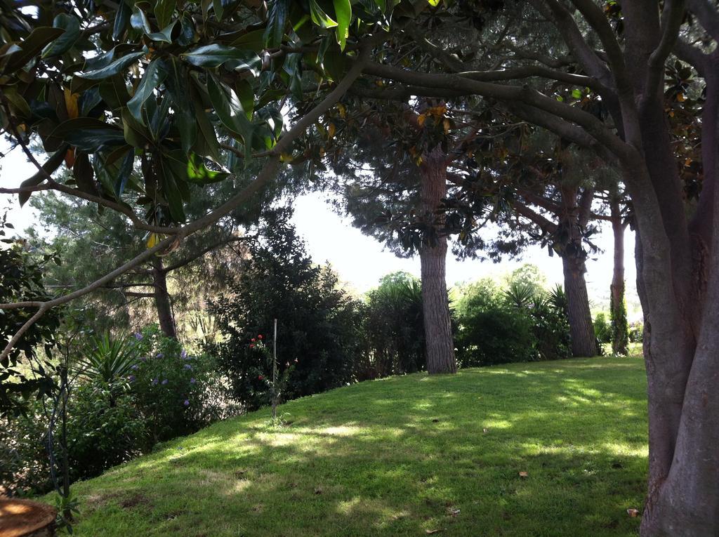 La Finestra Sul Cortile Bed & Breakfast Pomezia Eksteriør bilde