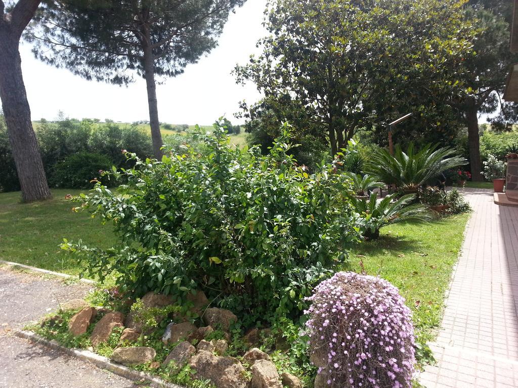 La Finestra Sul Cortile Bed & Breakfast Pomezia Eksteriør bilde