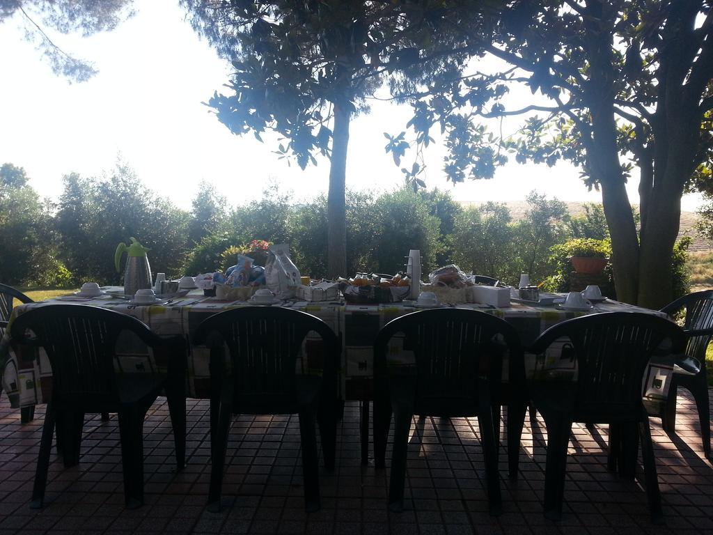 La Finestra Sul Cortile Bed & Breakfast Pomezia Eksteriør bilde