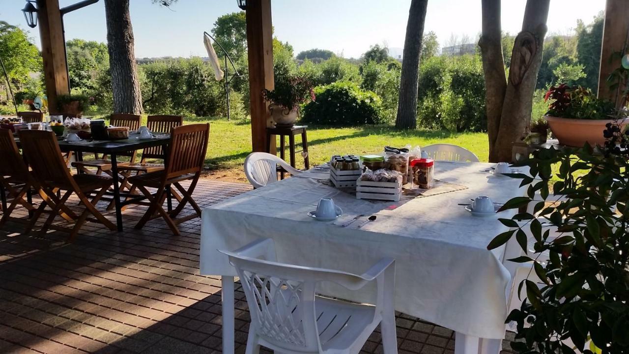 La Finestra Sul Cortile Bed & Breakfast Pomezia Eksteriør bilde